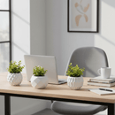 6 Vasos Decorativos em Gesso com Plantas Artificiais - | Souza Plena